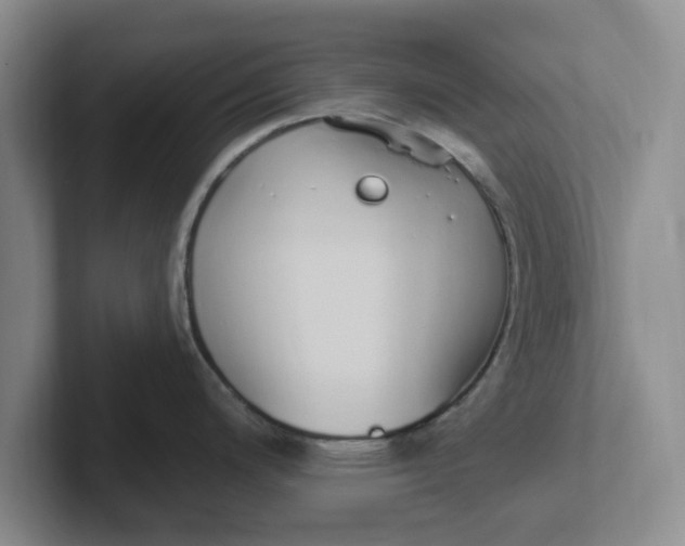 X0000102291200200808081516