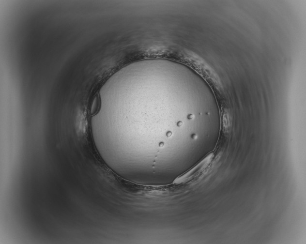 X0000102291204200808081516