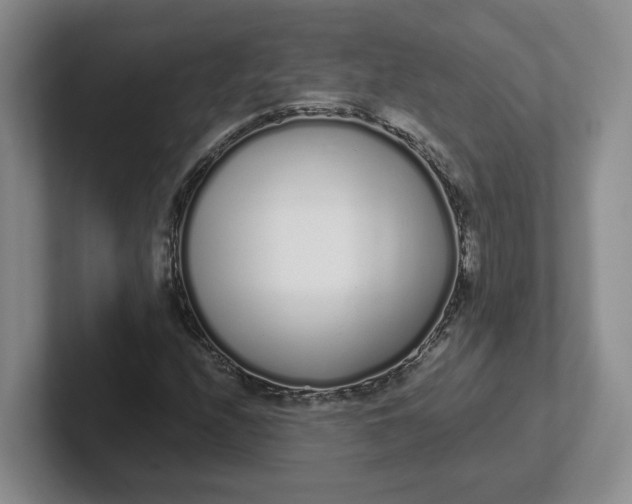 X0000102291208200808081516