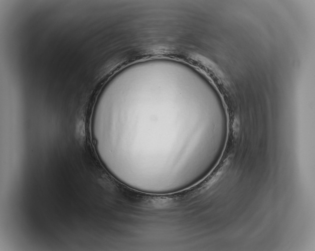 X0000102291209200808081516