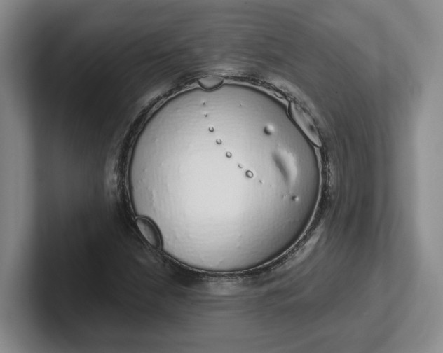 X0000102291210200808081516