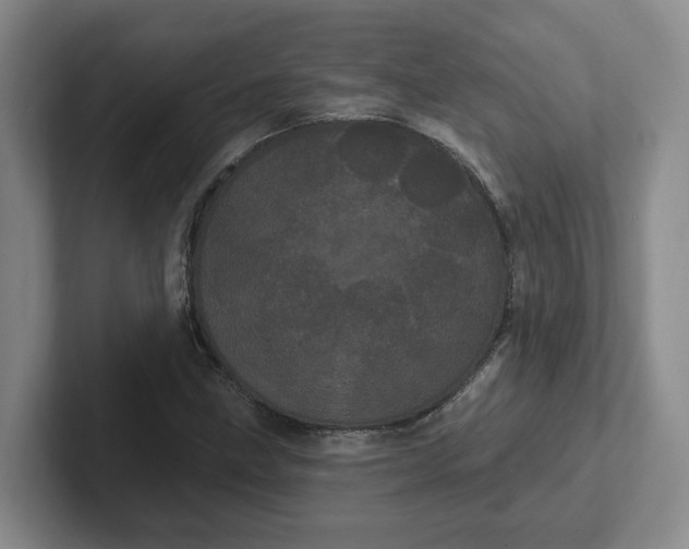 X0000102291211200808081516