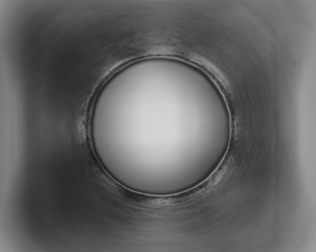 X0000102291212200808081516