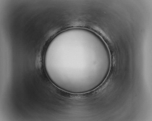 X0000102291213200808081516