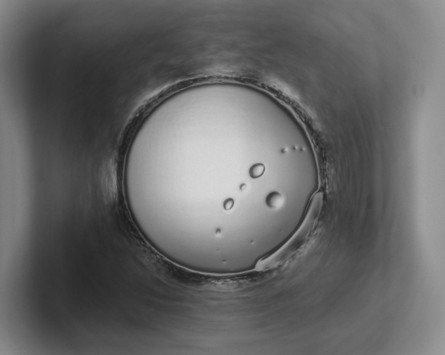 X0000102291214200808081516