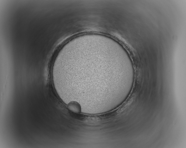 X0000102291215200808081516