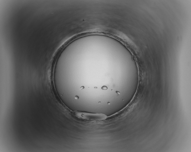 X0000102291216200808081516