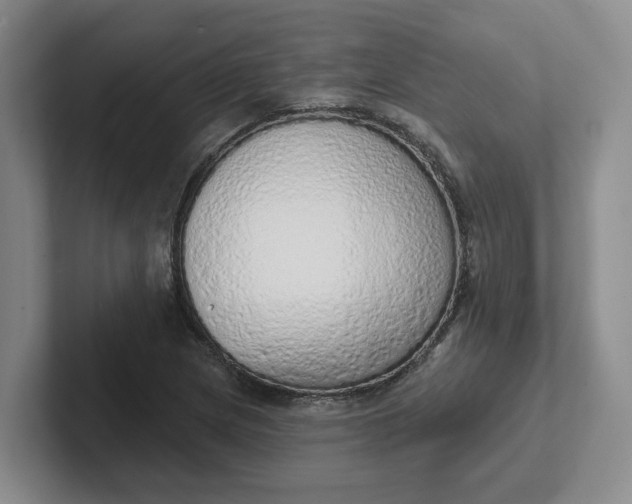 X0000102291217200808081516