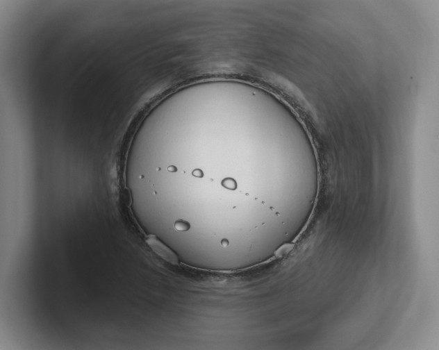 X0000102291218200808081516