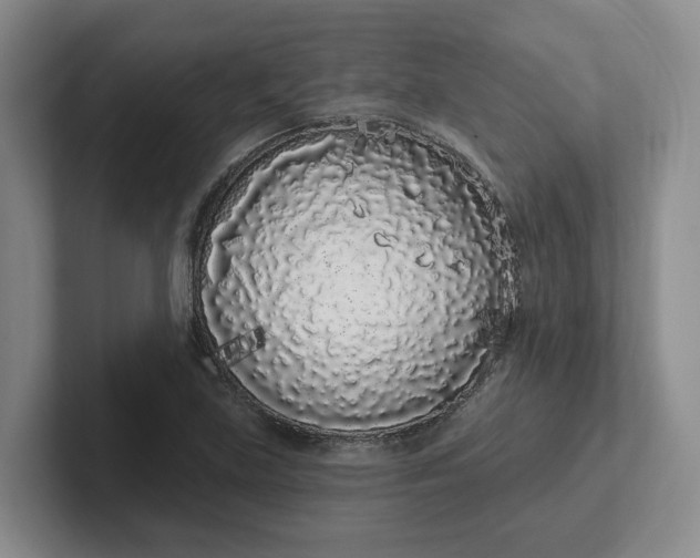 X0000102291219200808081516