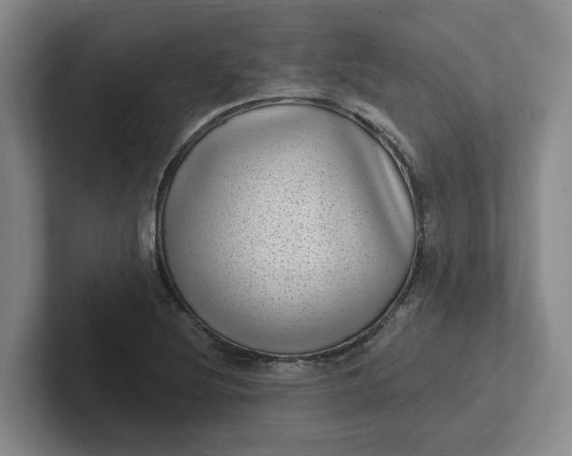 X0000102291220200808081516