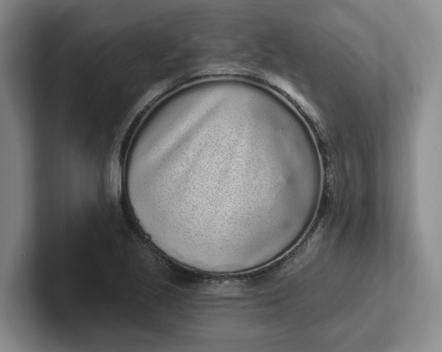 X0000102291221200808081516