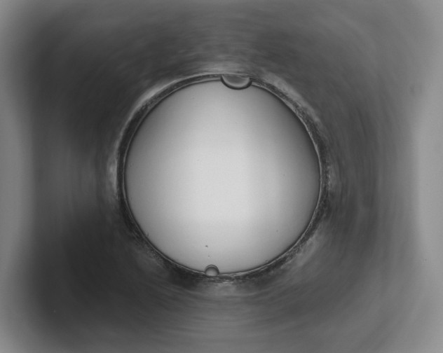 X0000102291222200808081516