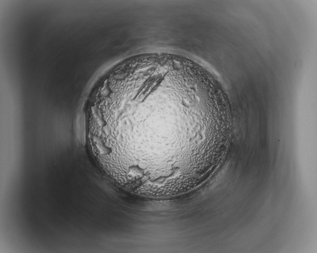 X0000102291223200808081516