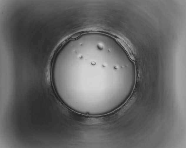 X0000102291224200808081516