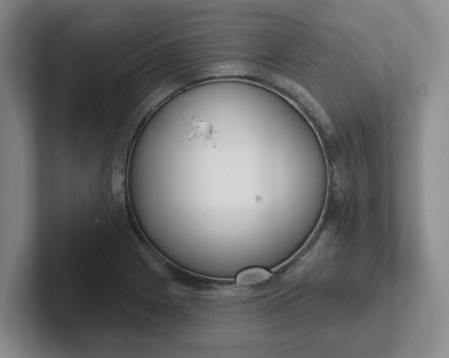 X0000102291225200808081516