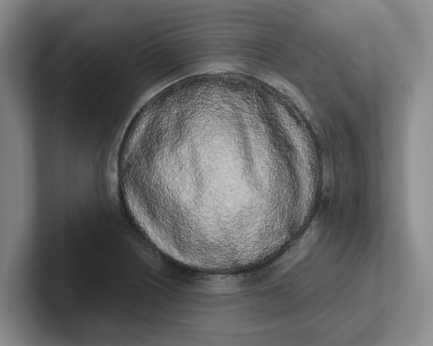 X0000102291226200808081516