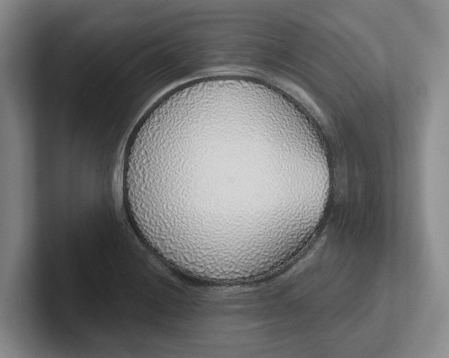 X0000102291228200808081516