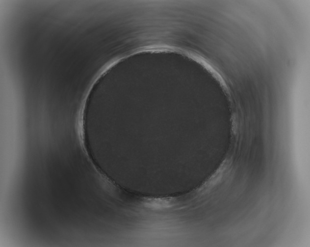 X0000102291229200808081516