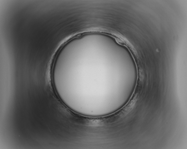 X0000102291230200808081516