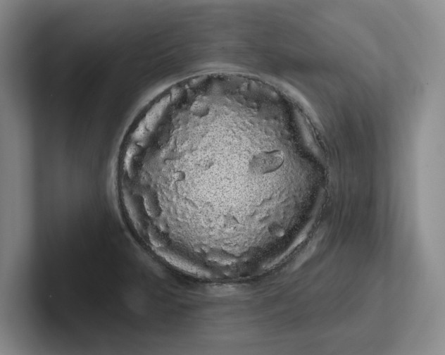 X0000102291231200808081516