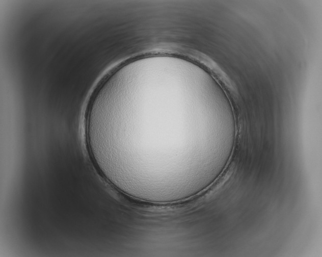 X0000102291232200808081516