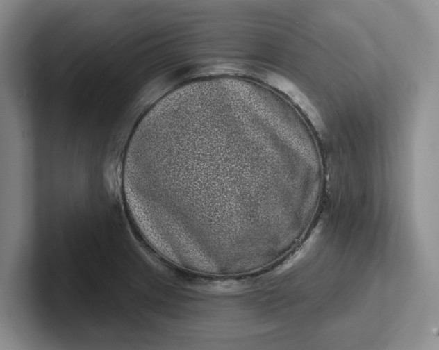 X0000102291233200808081516