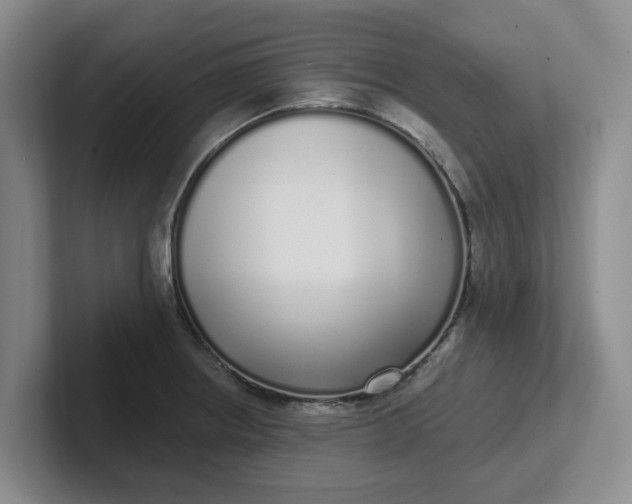 X0000102291234200808081516