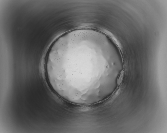 X0000102291235200808081516