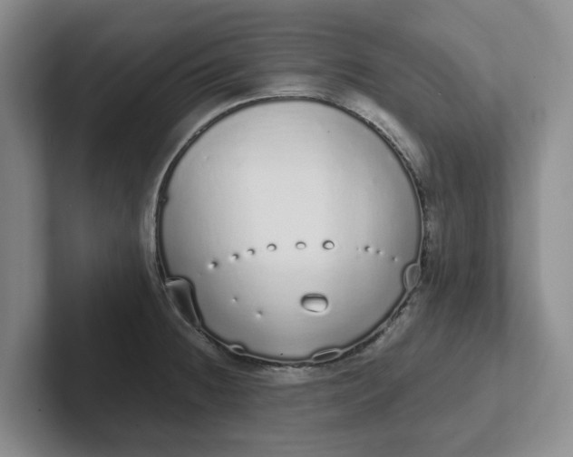 X0000102291236200808081516