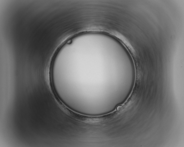 X0000102291237200808081516