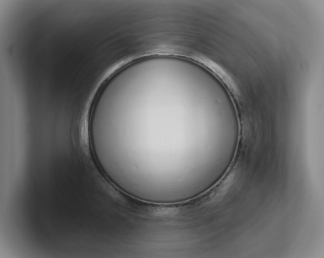 X0000102291238200808081516