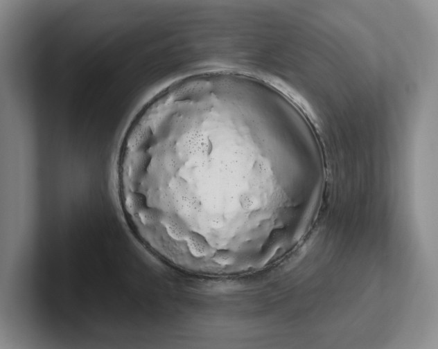 X0000102291239200808081516