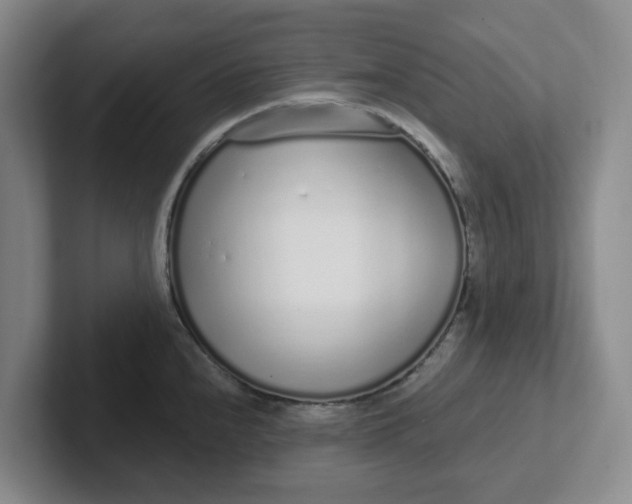 X0000102291240200808081516