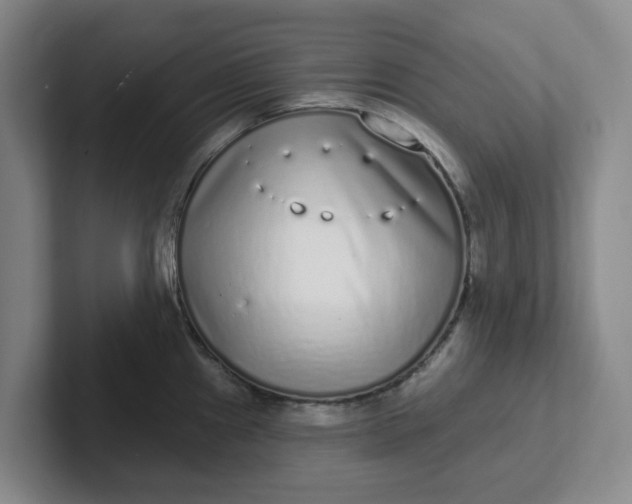 X0000102291241200808081516