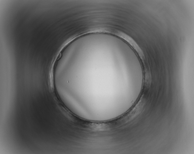 X0000102291242200808081516