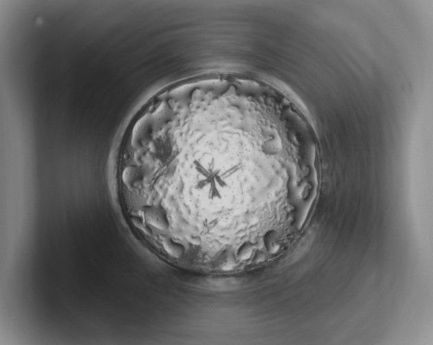 X0000102291243200808081516