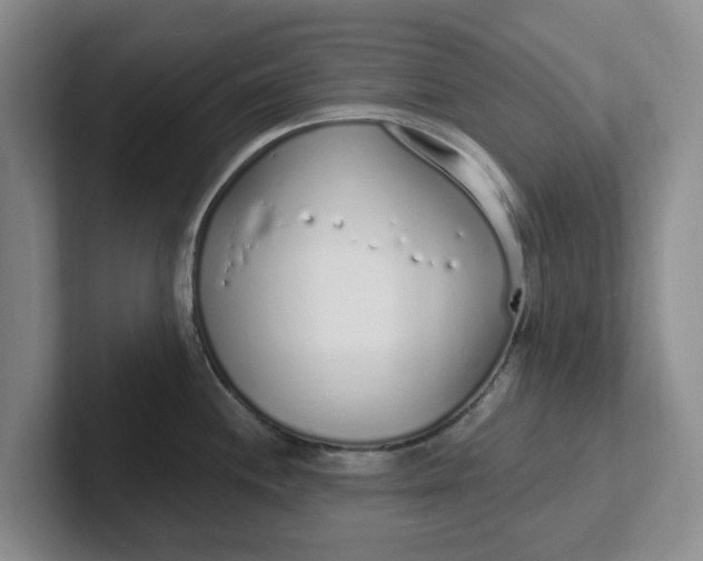 X0000102291244200808081516