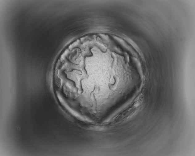 X0000102291245200808081516