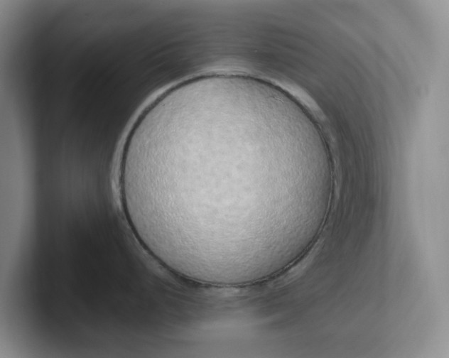 X0000102291248200808081516