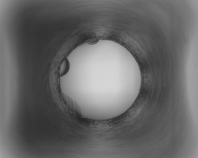 X0000102291249200808081516