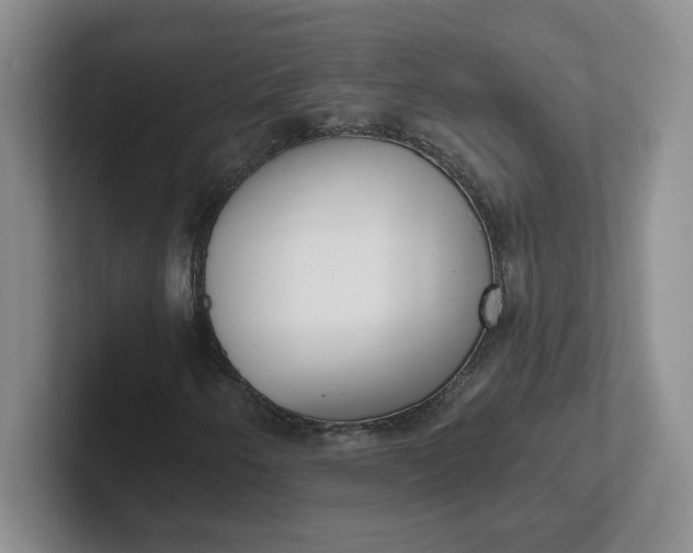 X0000102291250200808081516