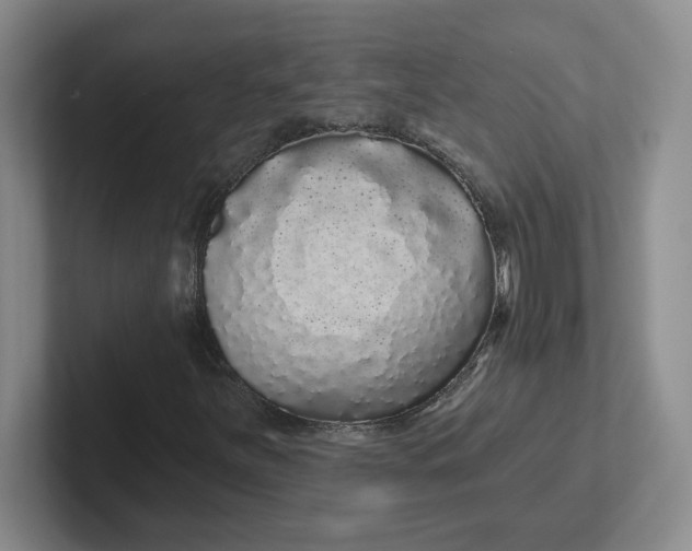 X0000102291251200808081516