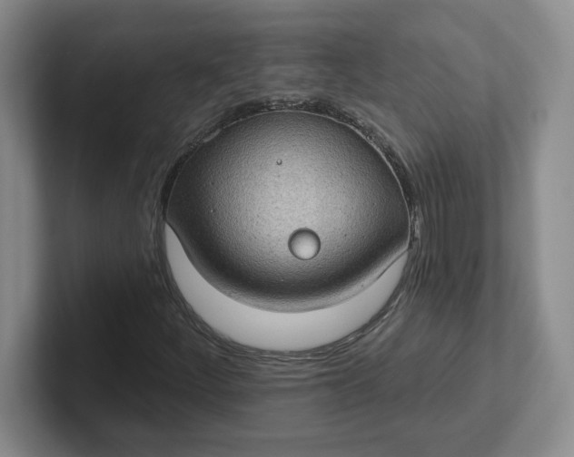 X0000102291252200808081516