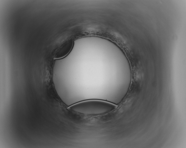 X0000102291253200808081516