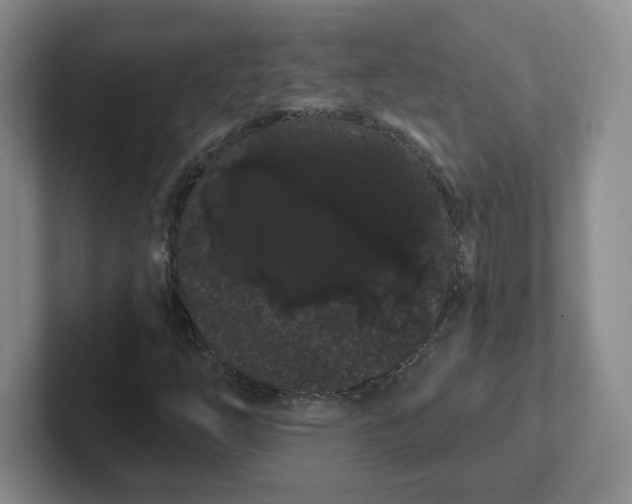 X0000102291254200808081515