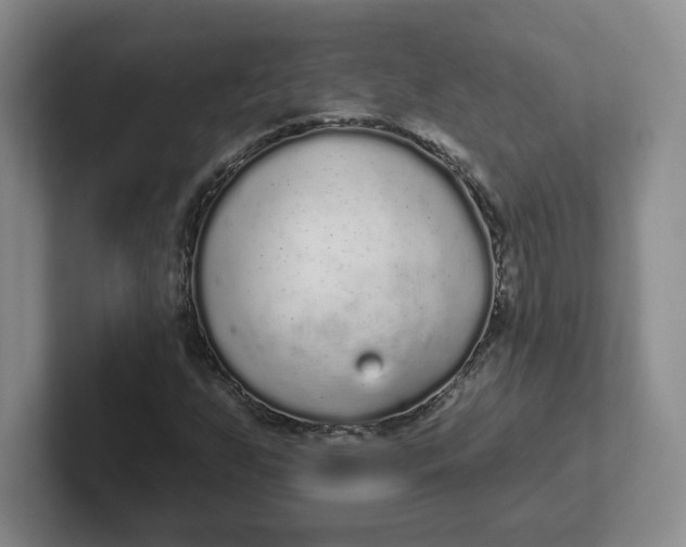 X0000102291255200808081515