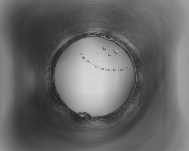 X0000102291256200808081515