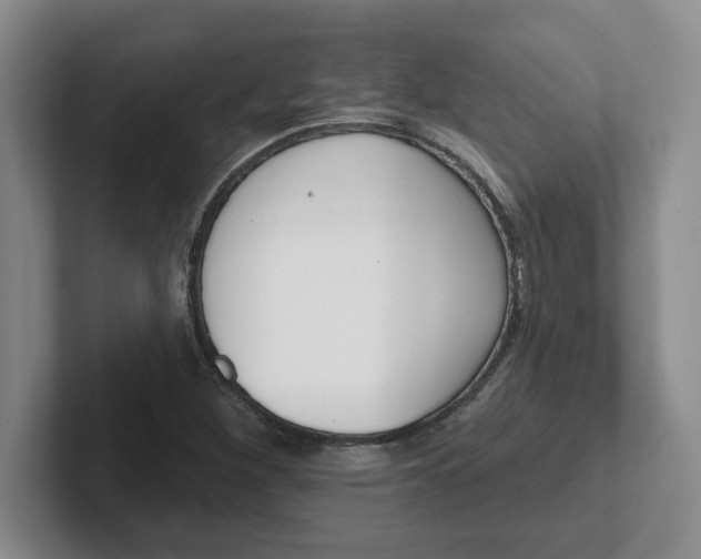 X0000102291260200808081515