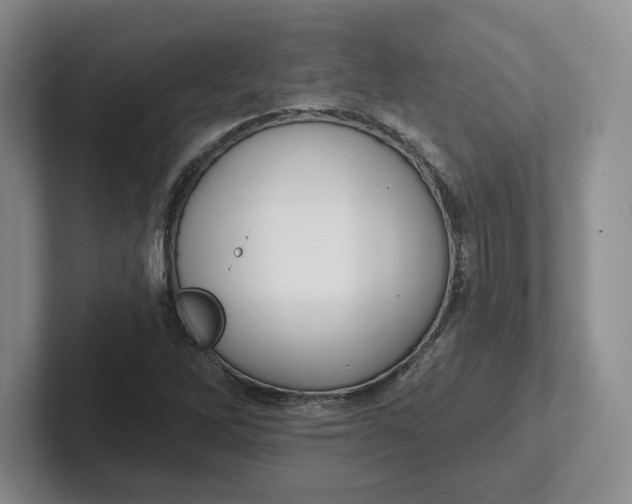 X0000102291262200808081515